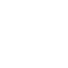 journalist