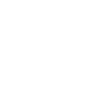 journalist