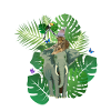 Jungle Animals Jungle Animals