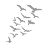 Oiseaux oiseaux migrateurs