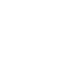 Skull small white