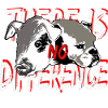 Pig dog no difference