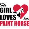 Paint horse
