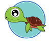 Turtle cute baby animals