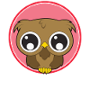 Owl cute animals