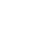 journalist