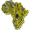 Symbol Africa in zebra camouflage