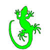 Neon gecko