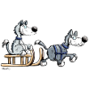 Mignon Husky Team