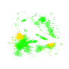 Ski