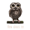 Hibou grand-duc et non