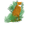 Jungle animal cheetah