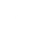 zizek saying wisdom stupidity