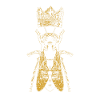 Bee Queen Bee
