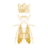 Bee bee colony Queen Bee