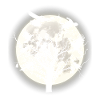 Raven night