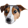 Jack Russel