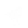 crow
