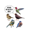 Vögel