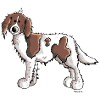 Knuffiger Münsterländer