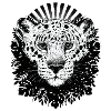 Leopardess