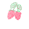 Raspberry - raspberries