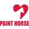 Paint horse