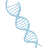 adn symbole