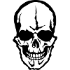 skull skull skull