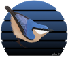 jz.birds Kleiber Bird Illustration