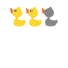 Duck duck Gray duck