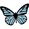 butterfly - papillon