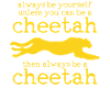 cheetah