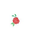 Tête de mort