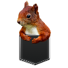SQUIRREL IN CHEST BAG