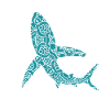 requin