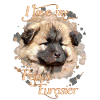 My pet dog Eurasier