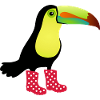 Toucan with rubber boots