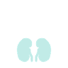 kidney