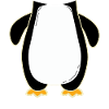 manchot