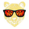 bear Cool
