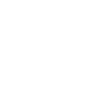 Owl Shirt