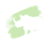 rhino