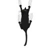 Cat, cat lover