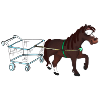 Shopping Pony