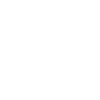 Skyline GT-R R33