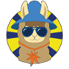 Lama gangster alpaca