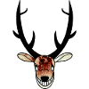 Hirsch
