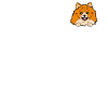 Pomerania Miniatura Perro Perro Bolso de bolsillo