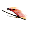 ski jumping